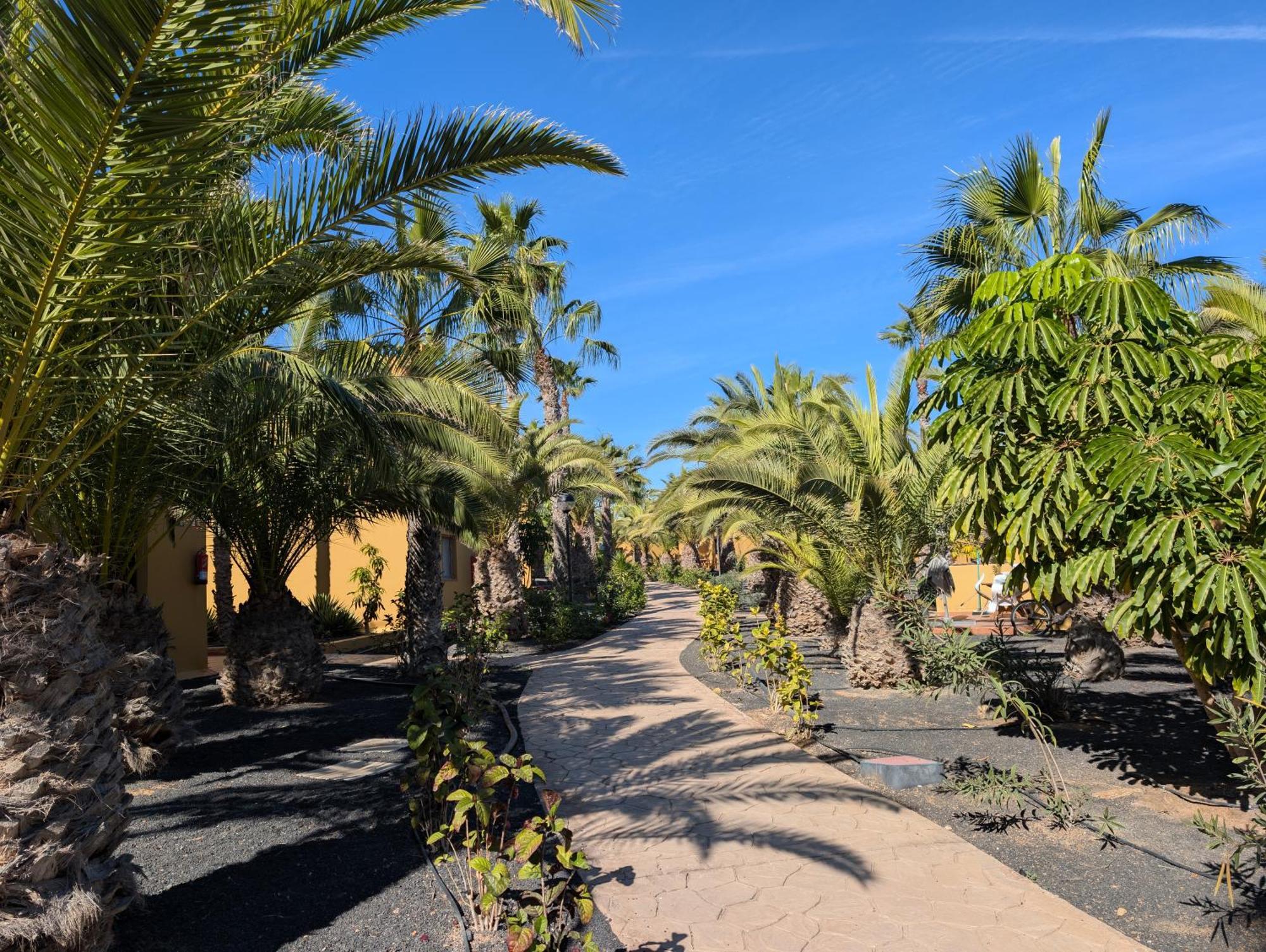 Apartamento Casa Miro Corralejo Exterior foto